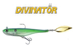 BIWAA DIVINATOR 20 cm - 55g