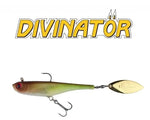 BIWAA DIVINATOR 20 cm - 55g