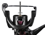 ROLLE - LADY BIXLITE 3006 FD