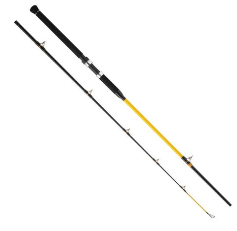 WFT N.C Catfish Boat 250-1000g 2,70m