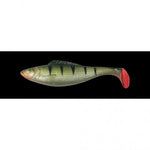 Shad Live, 2 St/SB, Perch 13cm