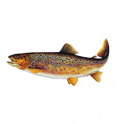 Fisch Aufkleber