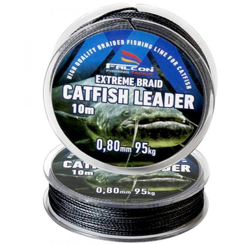 Falcon Cat Fish