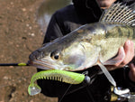 Awaruna 4.0 Inch von Pontoon21