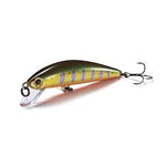 Jackson Trout Tune HW 55