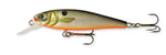 Goldy Gold Fish