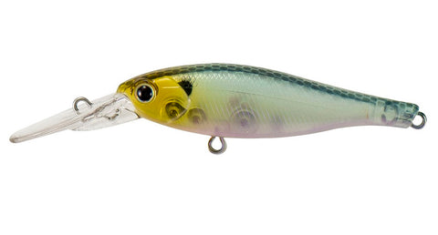 GERU ZANDER 70F