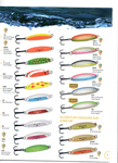 Williams W60 Spoon