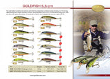 Goldy Gold Fish