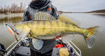 Commander Shad 16cm Narval