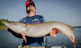 Commander Shad 16cm Narval