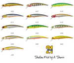 Pontoon21 Shallow First 70SP SR